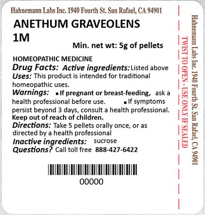 Anethum Graveolens 1m 5g - Anethum Graveolens 1M 5g 